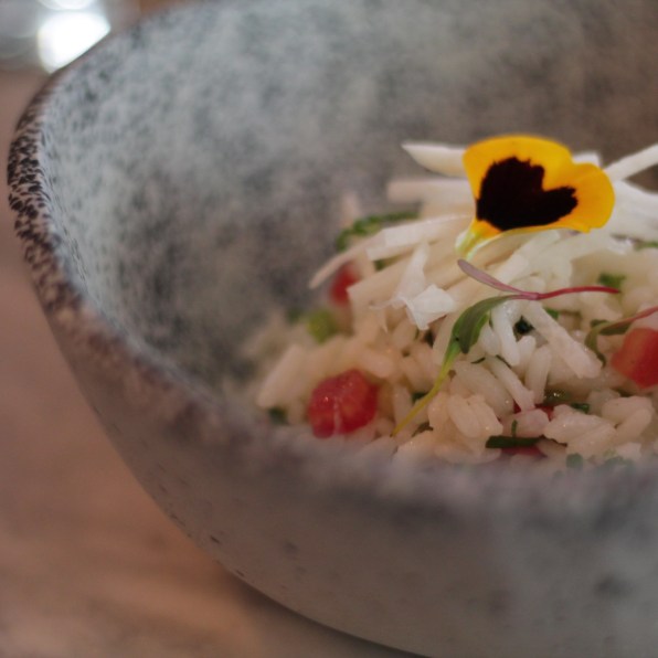 Arroz de Morelos, el único arroz con Denominación de Origen en México