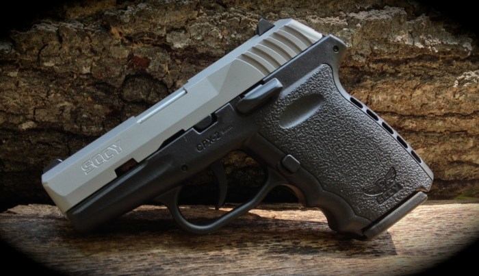 Does the sccy cpx-2 have a safety
