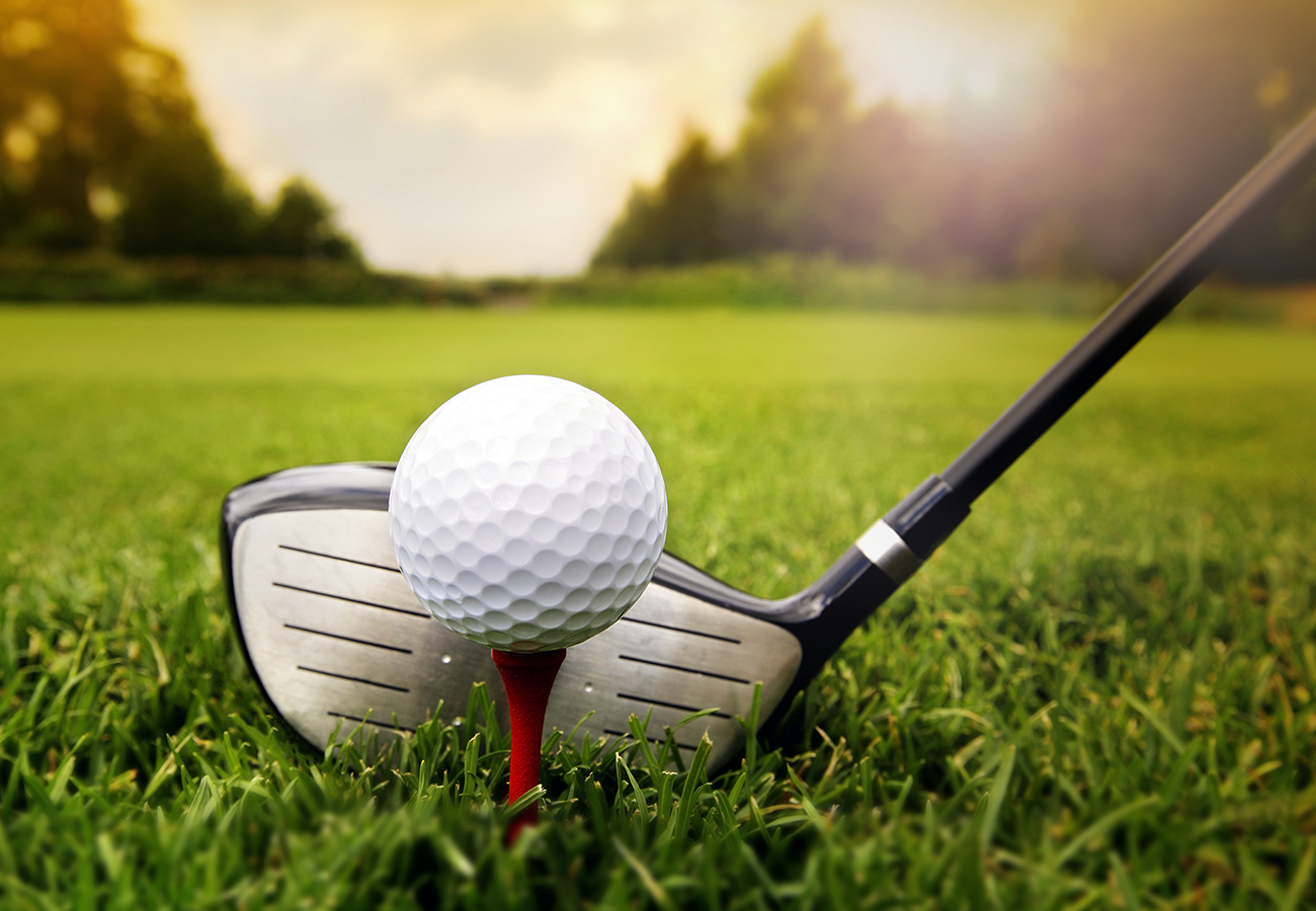 Belmont Court New Homes Bookham Concept Developments