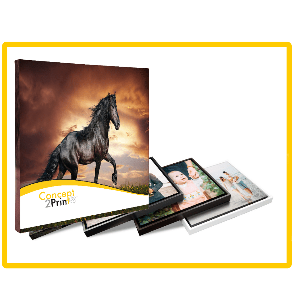 Canvas Print Concept2Print