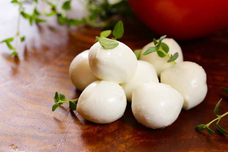 Substitute for Mozzarella Cheese 17 Ideas to Replace Mozzarella Cheese