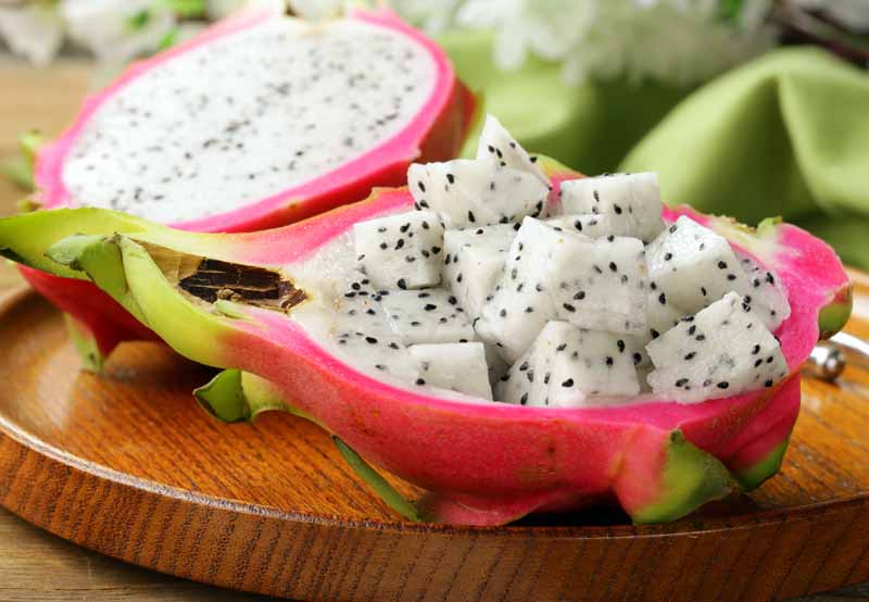 Dragon Fruit Seasonality or Availability & Characteristics of Dragon Fruit