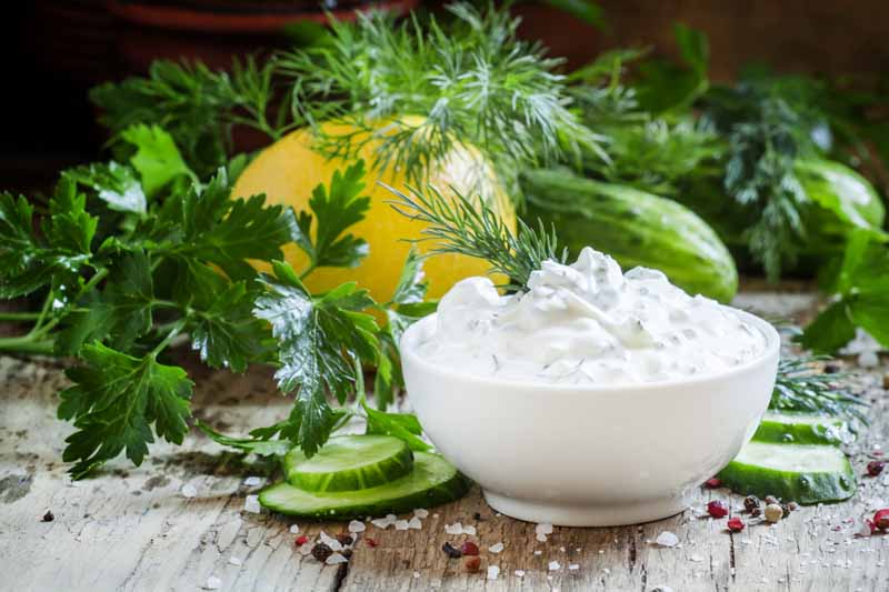 How To Make Greek Yogurt Taste Good? Here’s 5 Ideas To Try