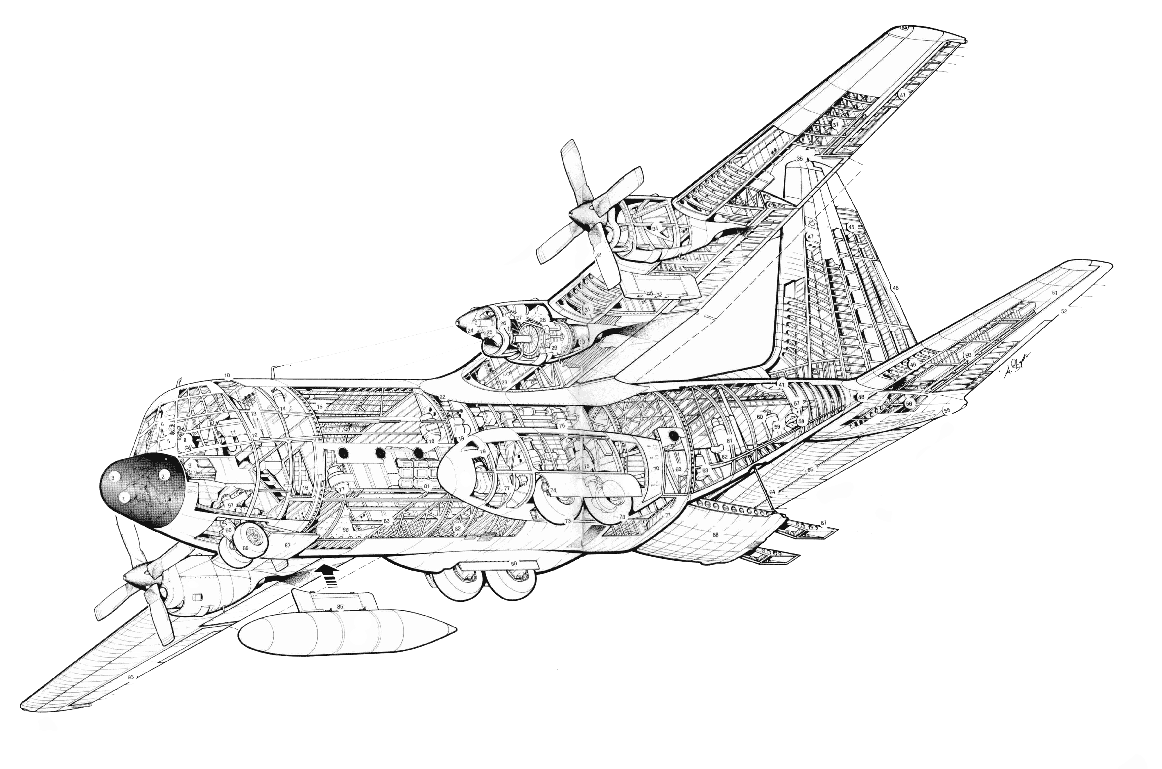 Lockheed C130 Hercules Cutaway Drawing in High quality