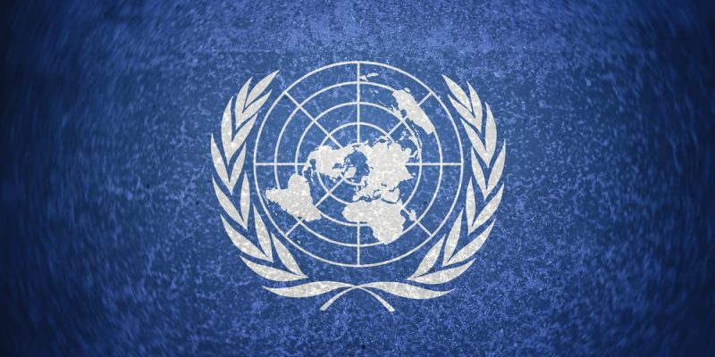 ONU Concepto, objetivos y países miembros