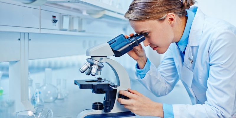 Experimentación Científica Concepto, Tipos y Ejemplos