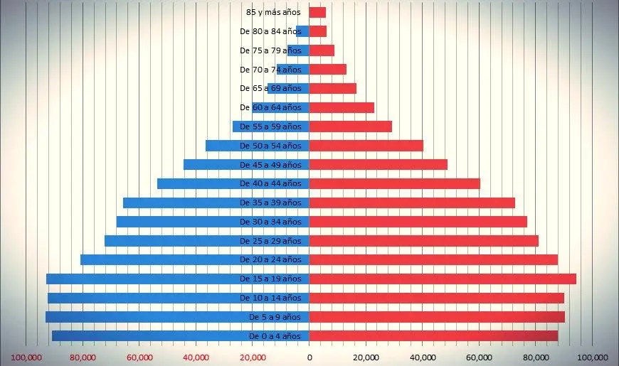 ¿Qué es Pirámide de población? » Su Definición y Significado [2021]