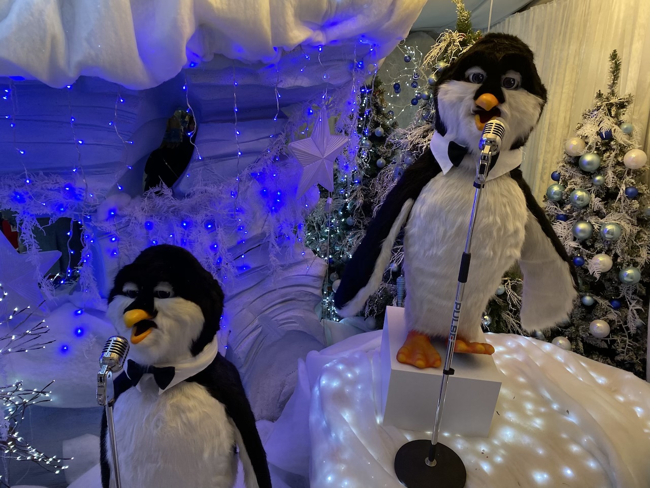 Santa's Grotto at Chessington Garden Centre Concierge Angel