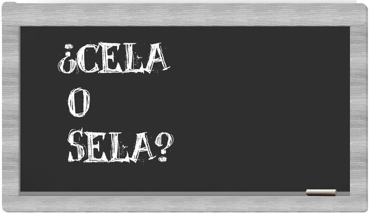 Cela Ou Sela Qual O Correto? Como Se Escreve Certo, 54 OFF