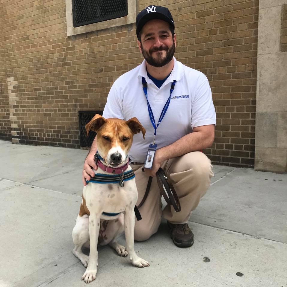 bed bug dogs Catchy Pest Control