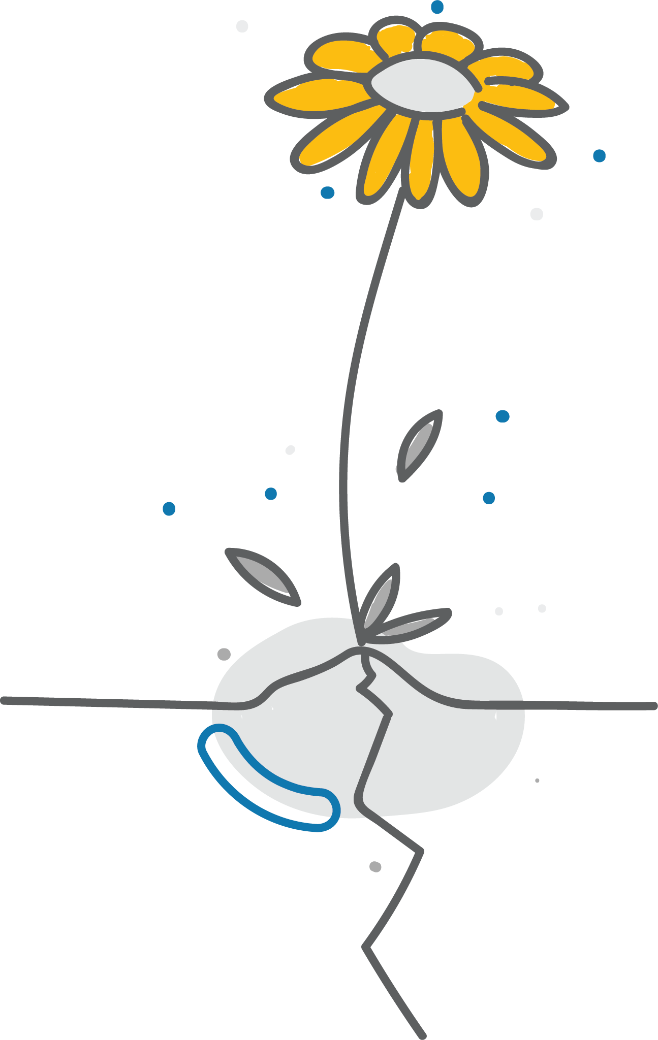 Depression VCH Concussion