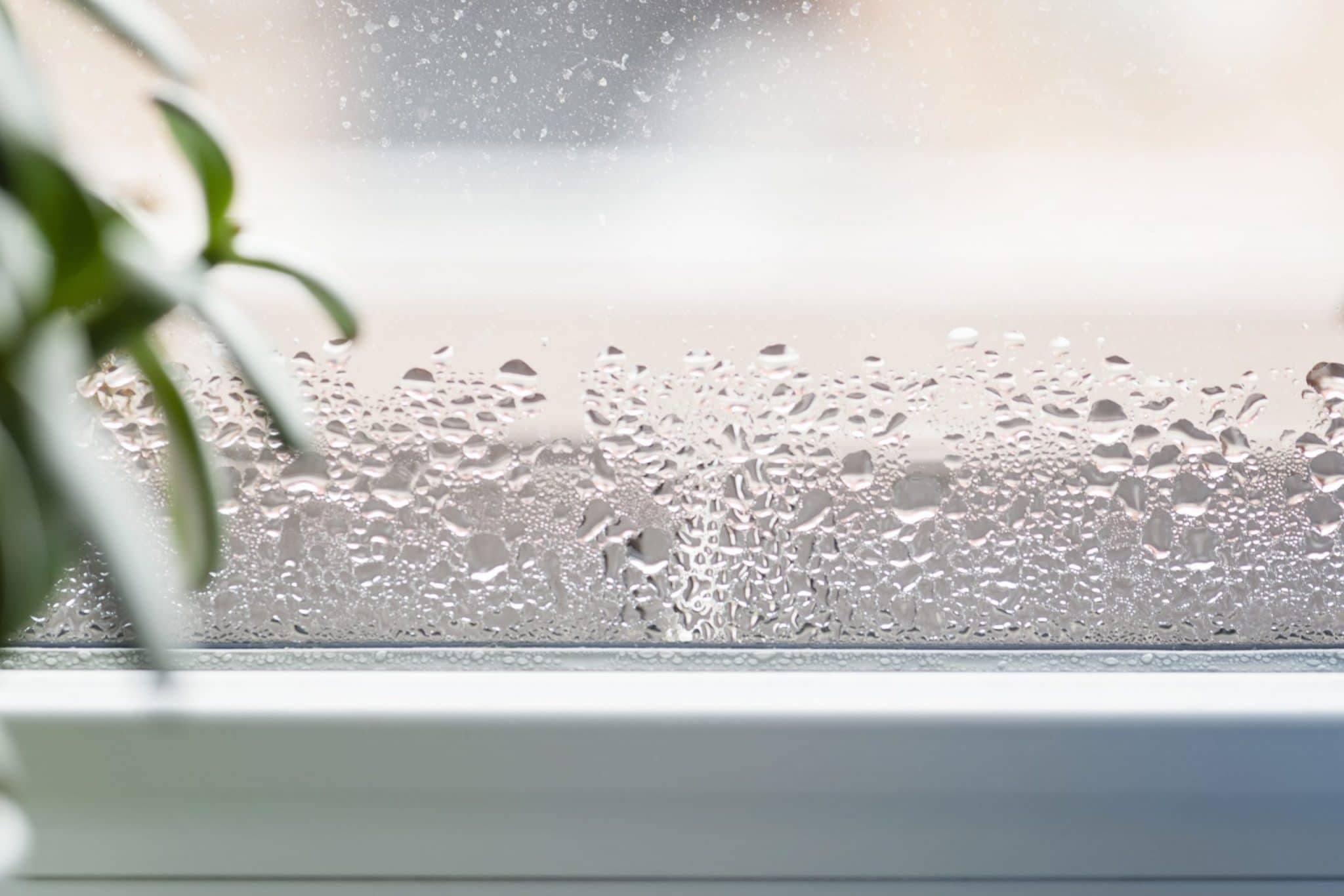 How To Remove Condensation From Double Glazing Crystal Clear Window Works