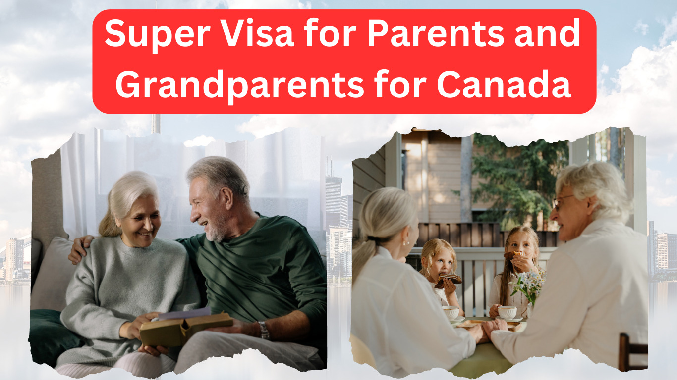 Canada Visa Applications And Exploring The Super Visa Option For