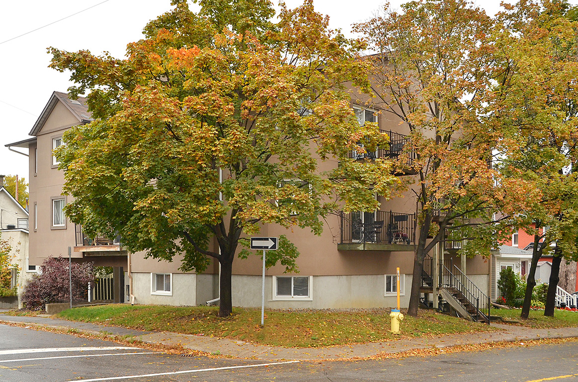 Hintonburg Condo Curious