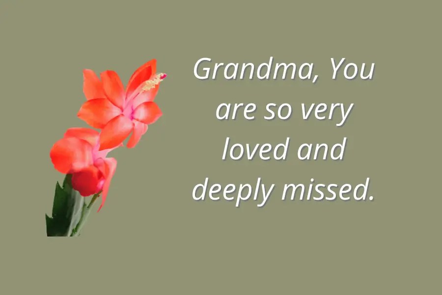 Funeral Flower Card Messages For Grandma Best Flower Site