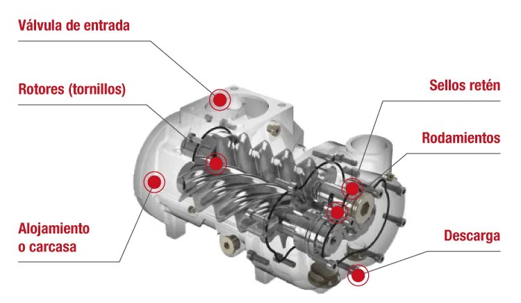 Partes y Componentes de un Compresor Rotativo De Tornillo - CONDOR GROUP