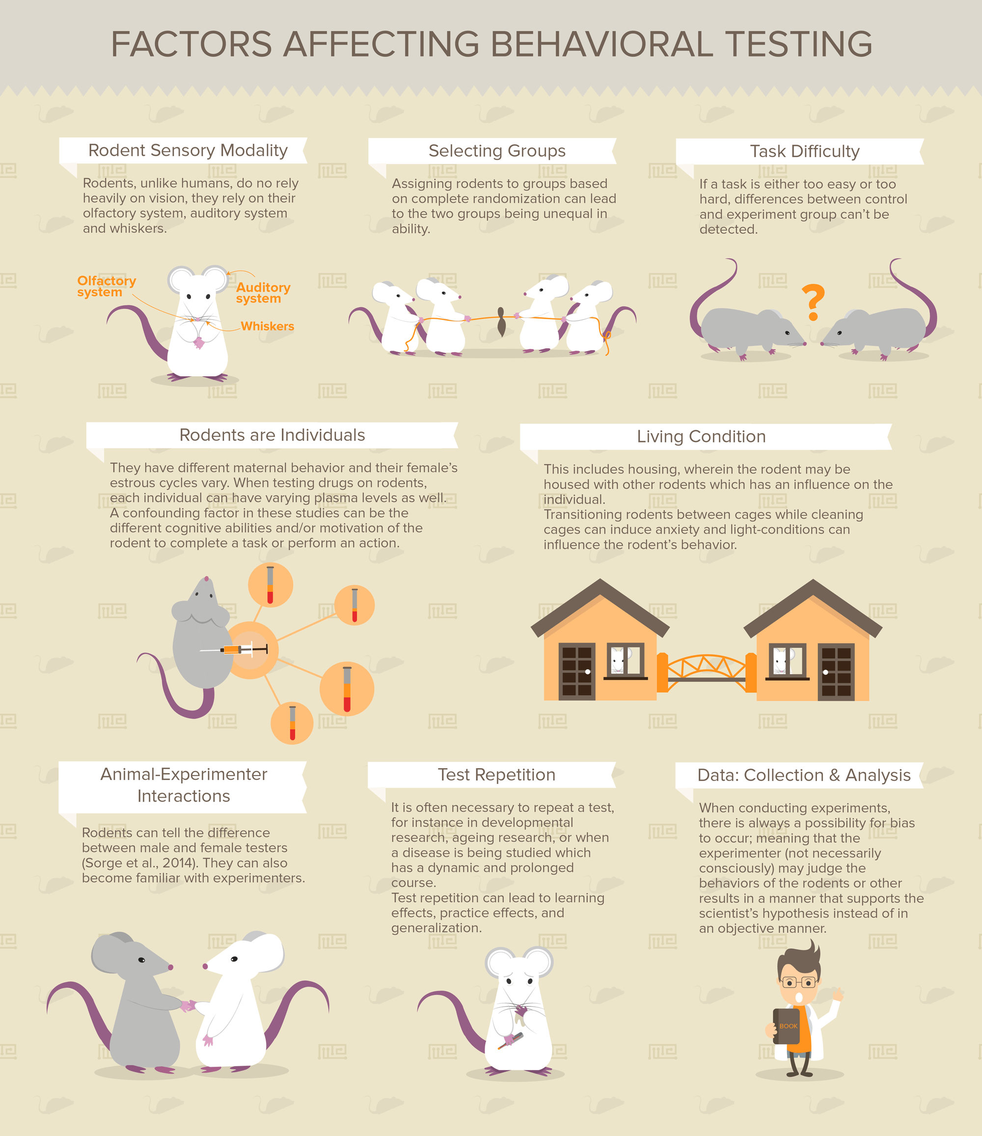 General Guide to Behavioral Testing in Mice Maze Engineers