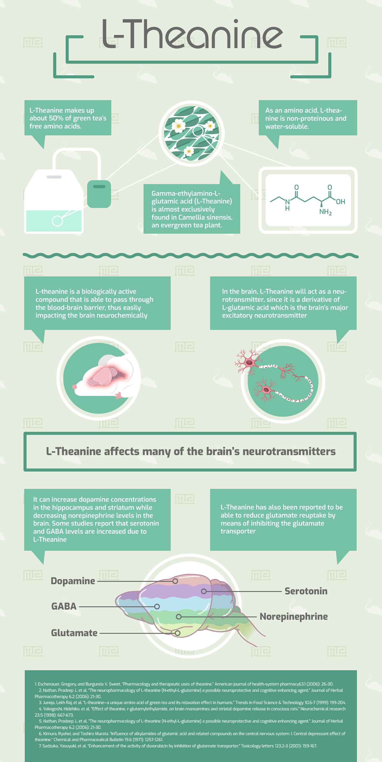L Theanine Dosage Chart