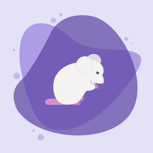 Maintenance Behaviors Maze Engineers