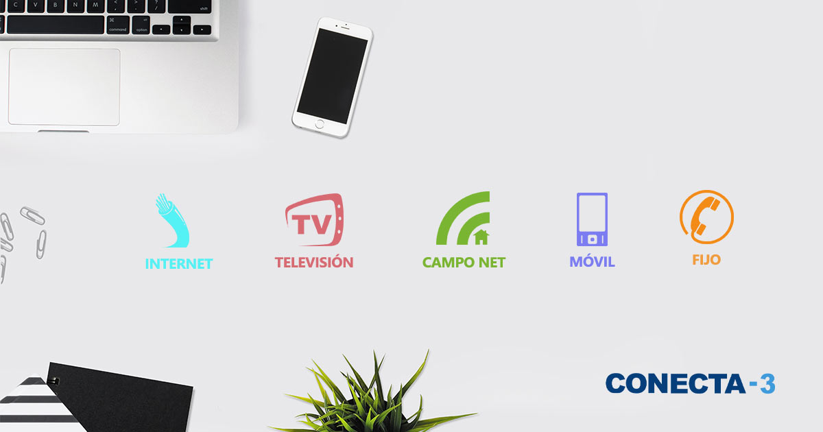 + Mobile + TV + Landline. Combine them as you want