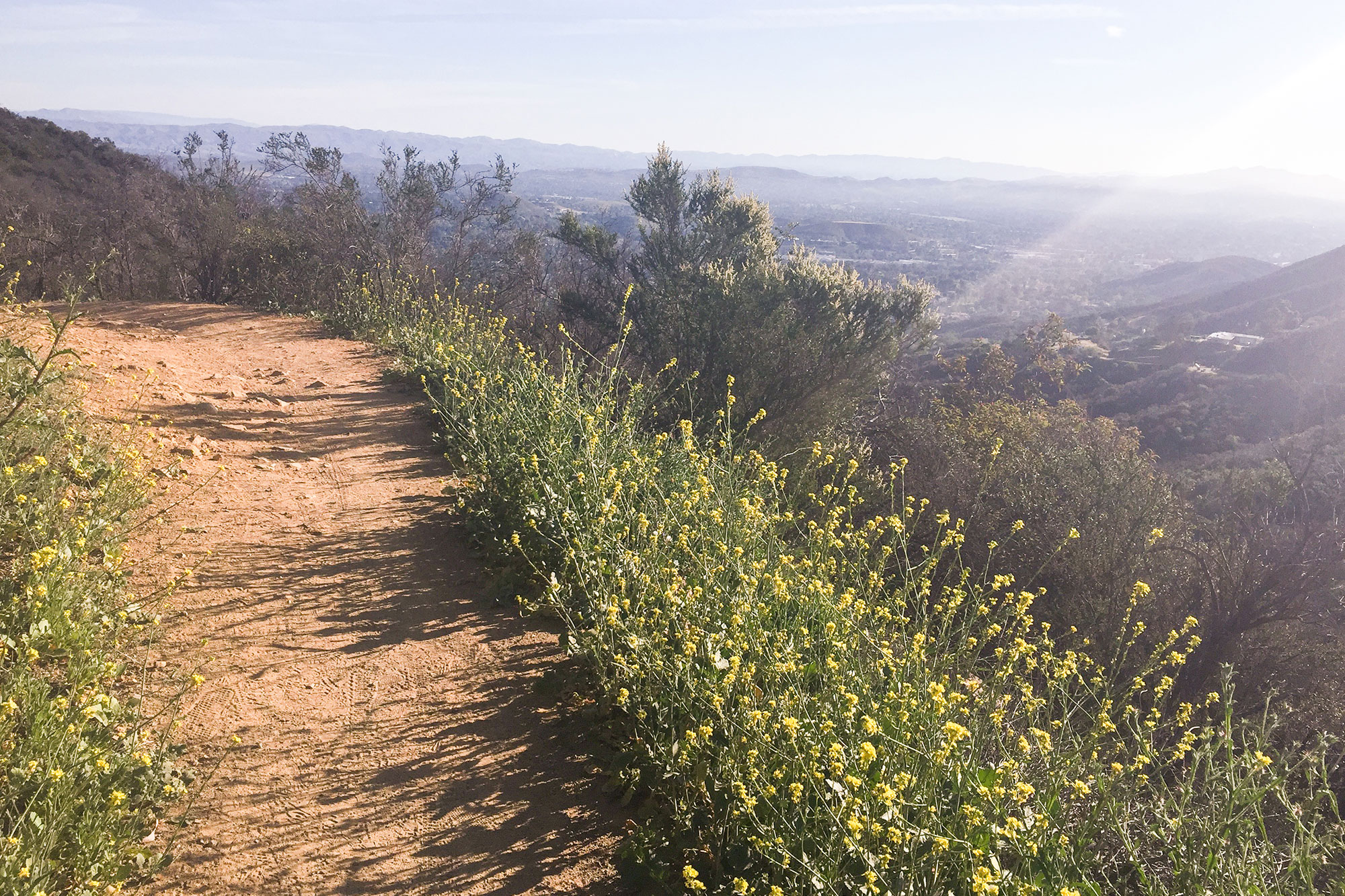 Buckle Up to See Another Side of Southern California in Conejo Valley