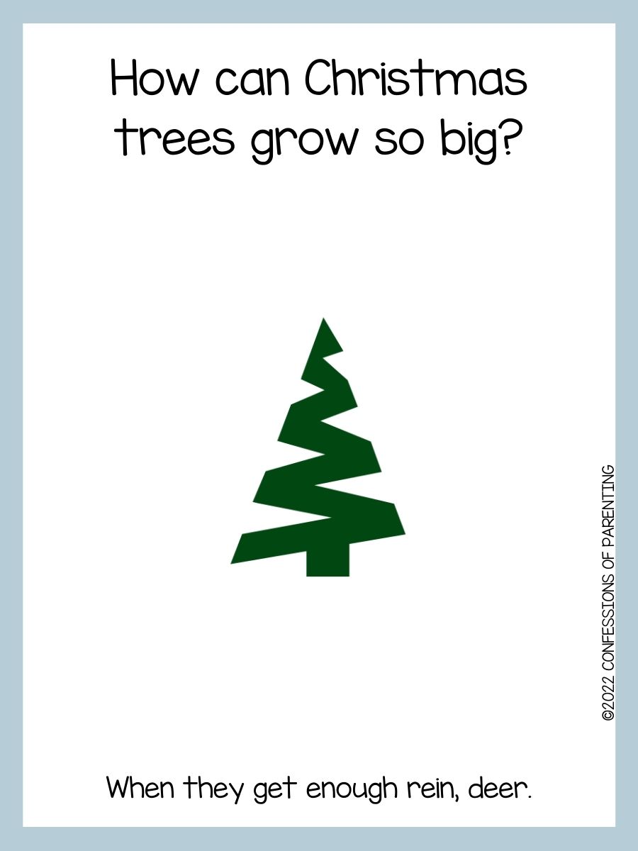 90 Best Christmas Tree Jokes That Are TreeMendous