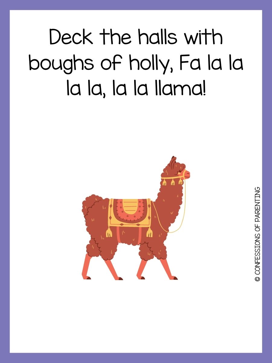150 Best Llama Puns That Are LlAmazing