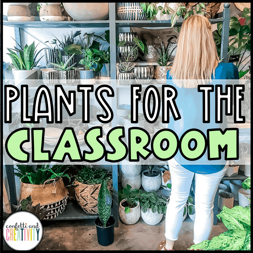 5 Amazing Plants for the Classroom Confetti & Creativity