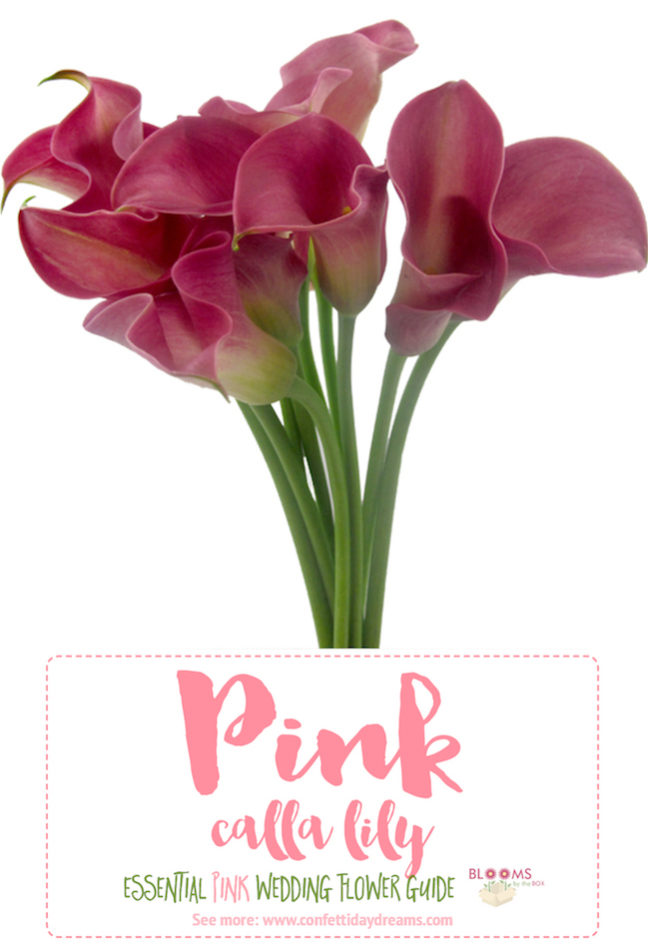 The Essential Pink Wedding Flowers Guide Types of Pink Flowers, Names, Seasons + Pics