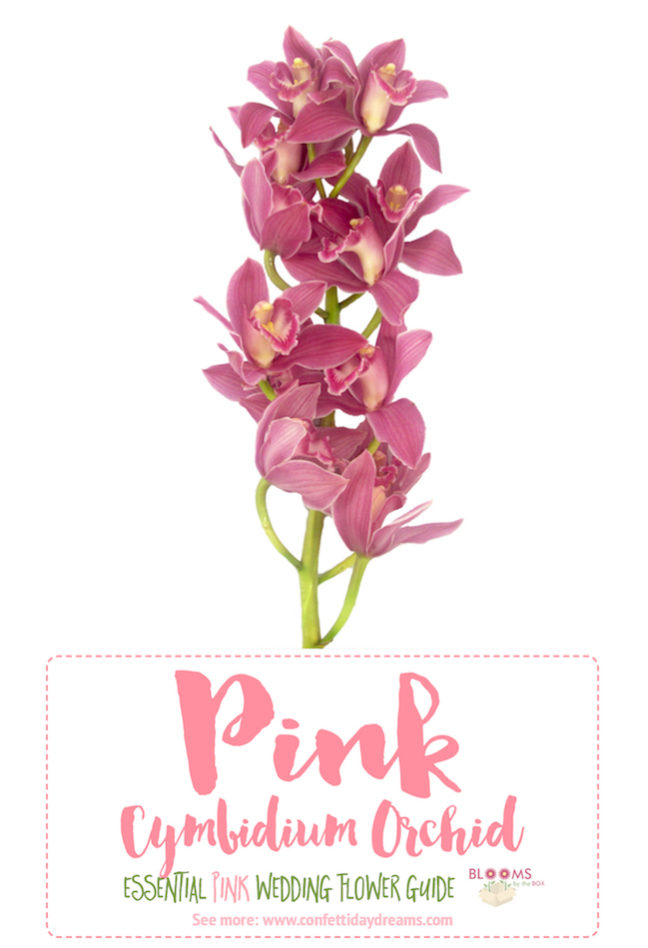 The Essential Pink Wedding Flowers Guide Types of Pink Flowers, Names, Seasons + Pics