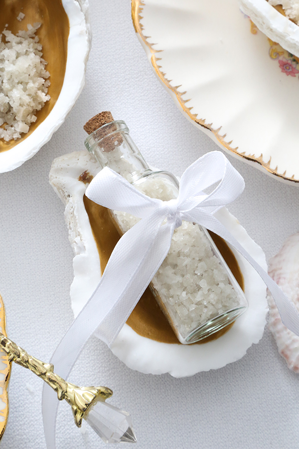 Oyster Shell Salt Cellars Confetti Fix