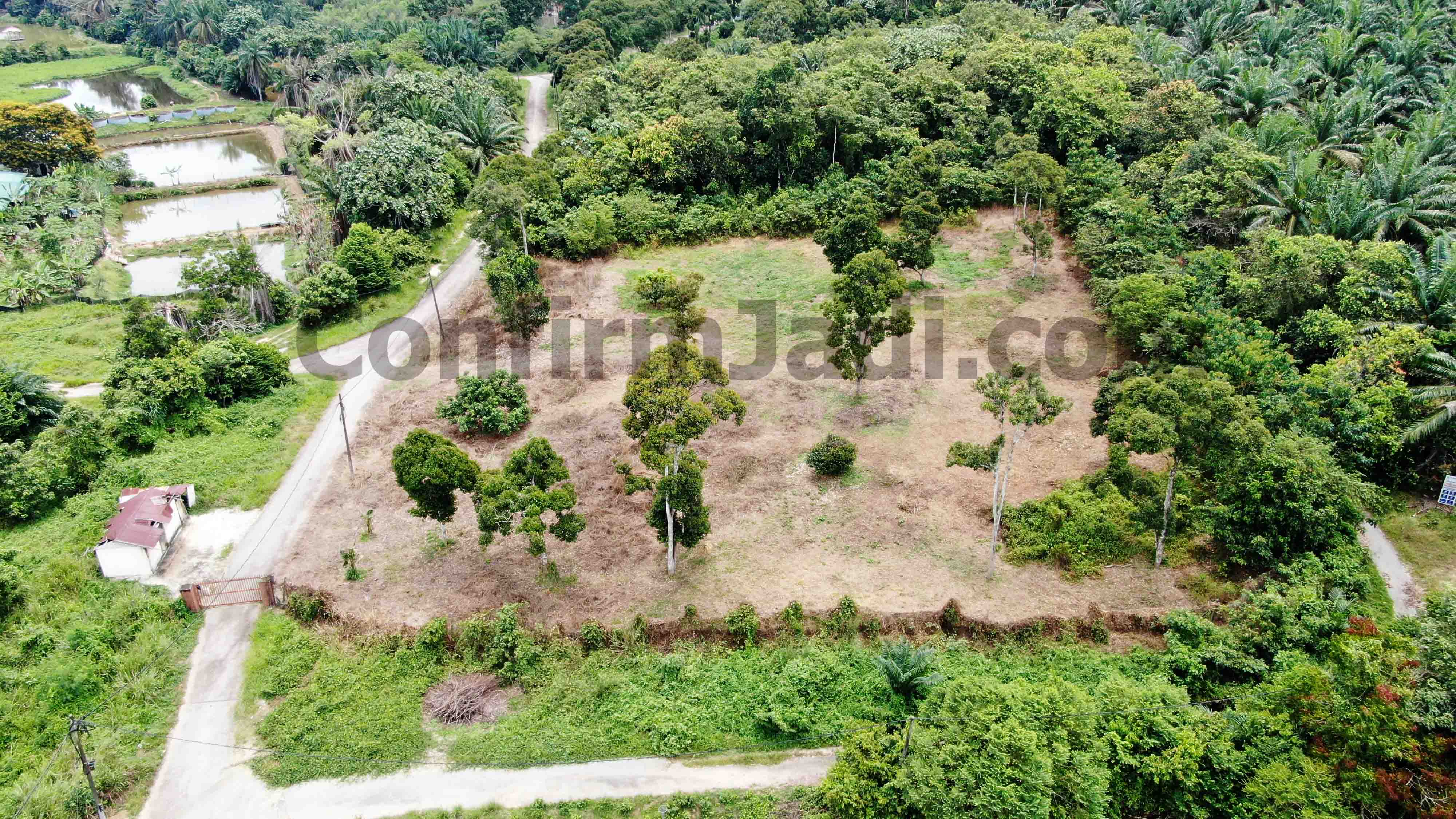 Negeri sembilan land for sale kundur hilir