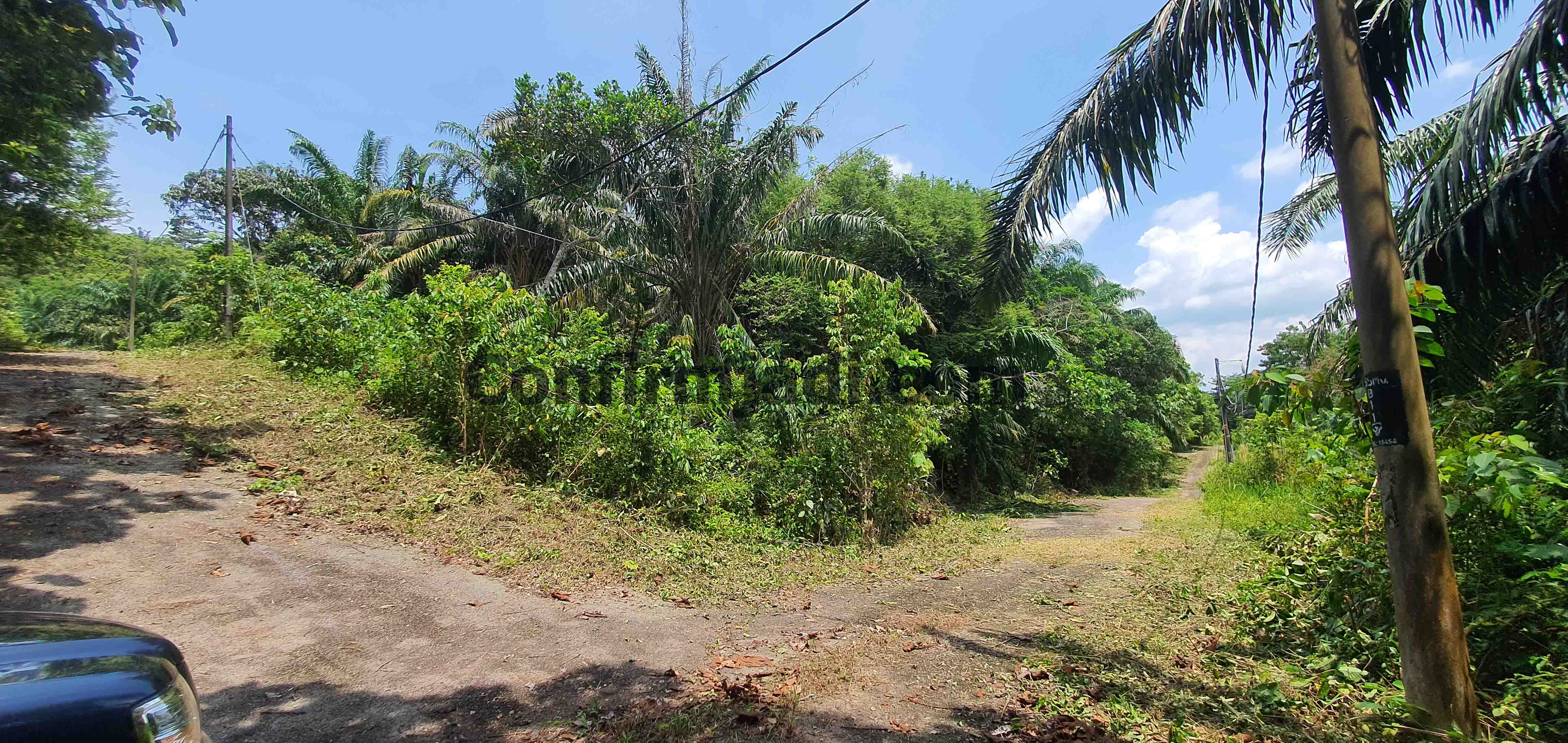 Agriculture land for sale in Negeri Sembilan