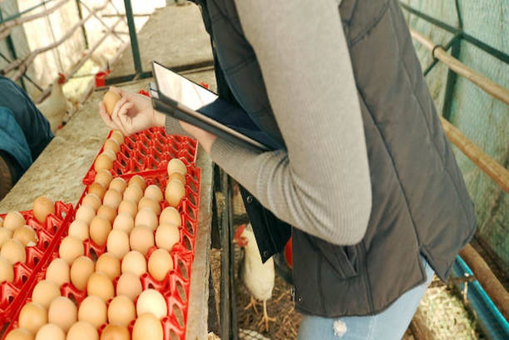 Hillandale Farms On Business Growth Through Sustainability