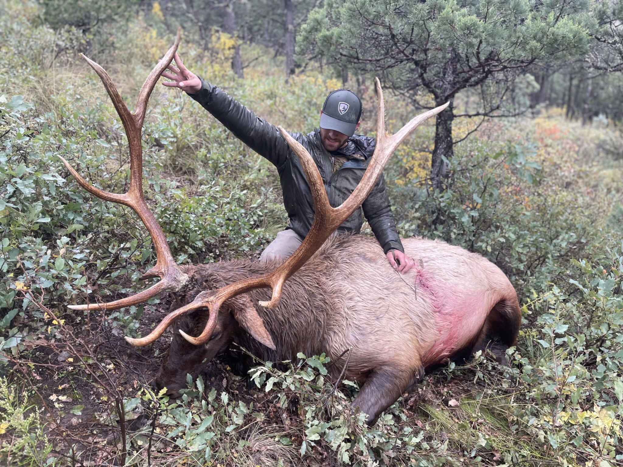 BREAKING Colorado to Limit Nonresident Elk Hunting Opportunities Confluence Land