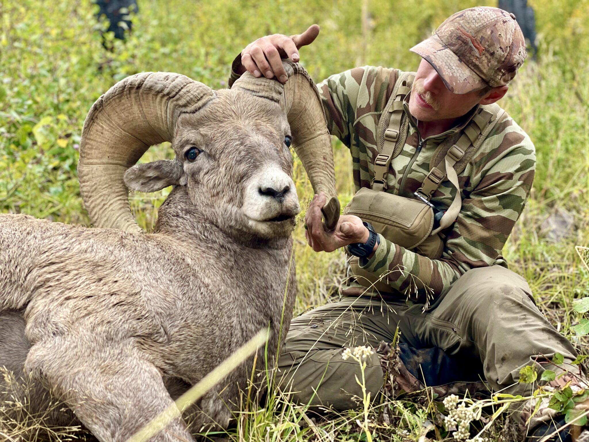 A Once in a Lifetime Colorado Bighorn Sheep Hunt Confluence Land