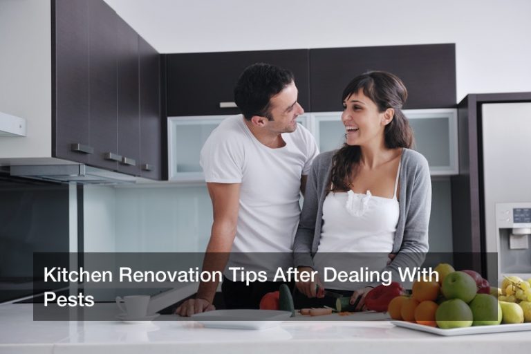 Kitchen Renovation Tips After Dealing With Pests Confluent Kitchen