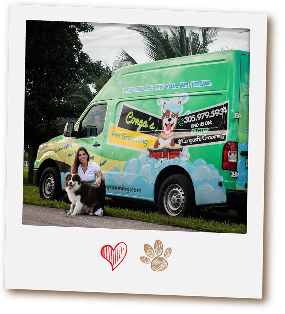 About Congas´s Conga´s Pet Grooming