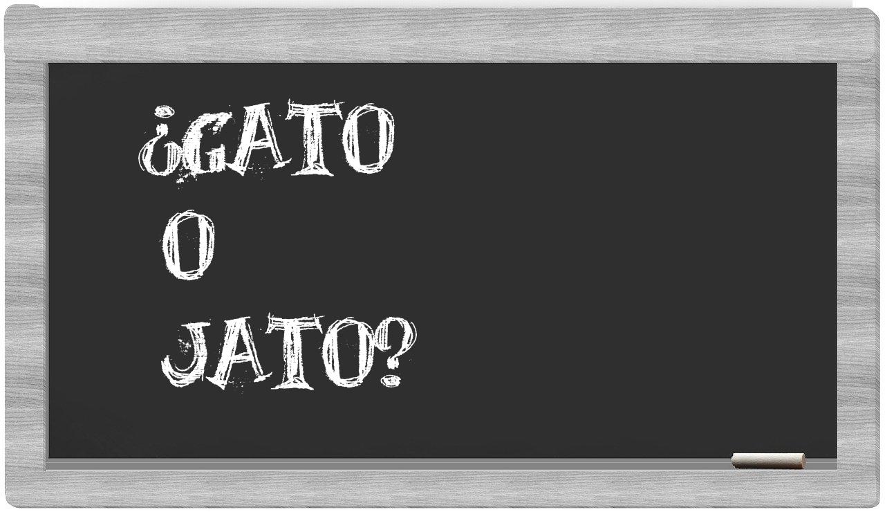 gato o jato