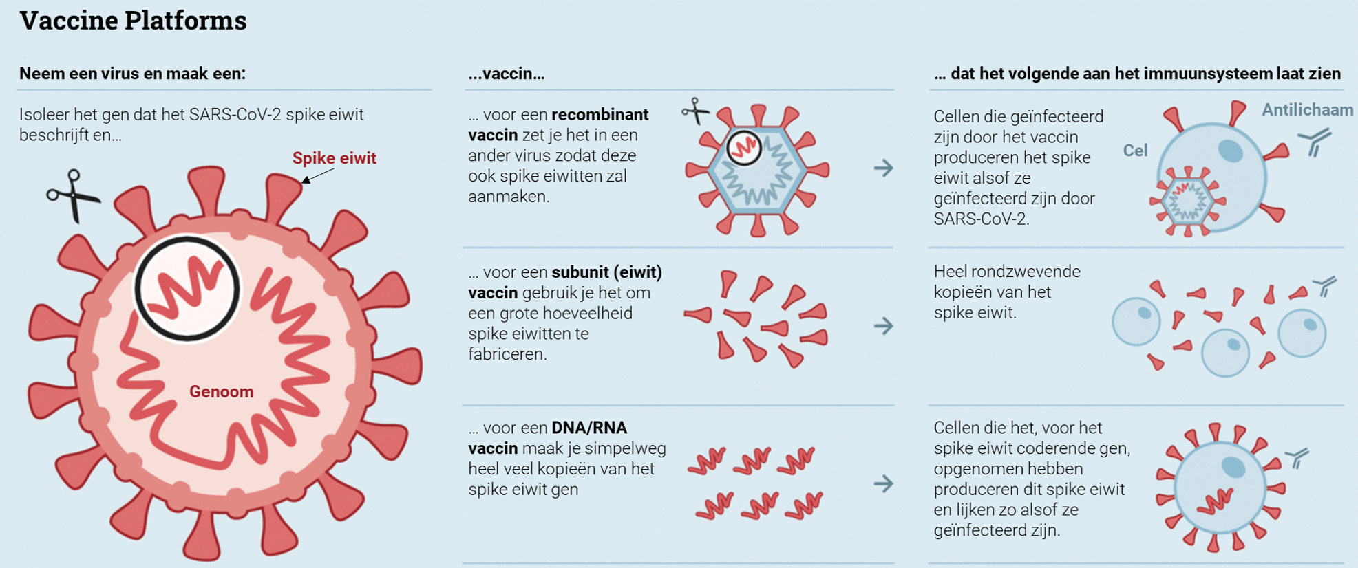 Knvm Vaccinologie - Covid-19