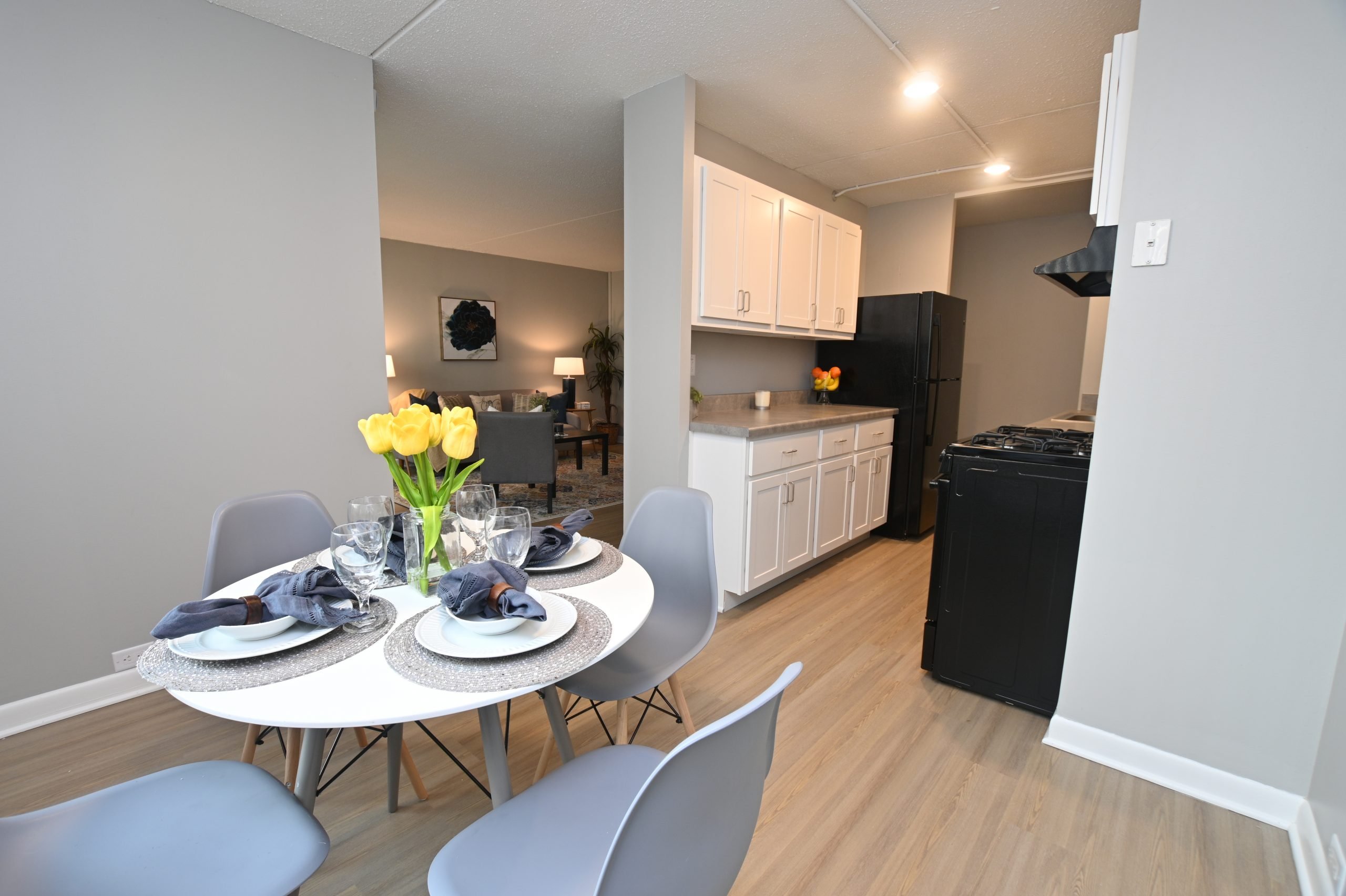 CONIFER UNVEILS NEW APARTMENTS AT SOUTHEAST TOWERS Conifer Realty LLC