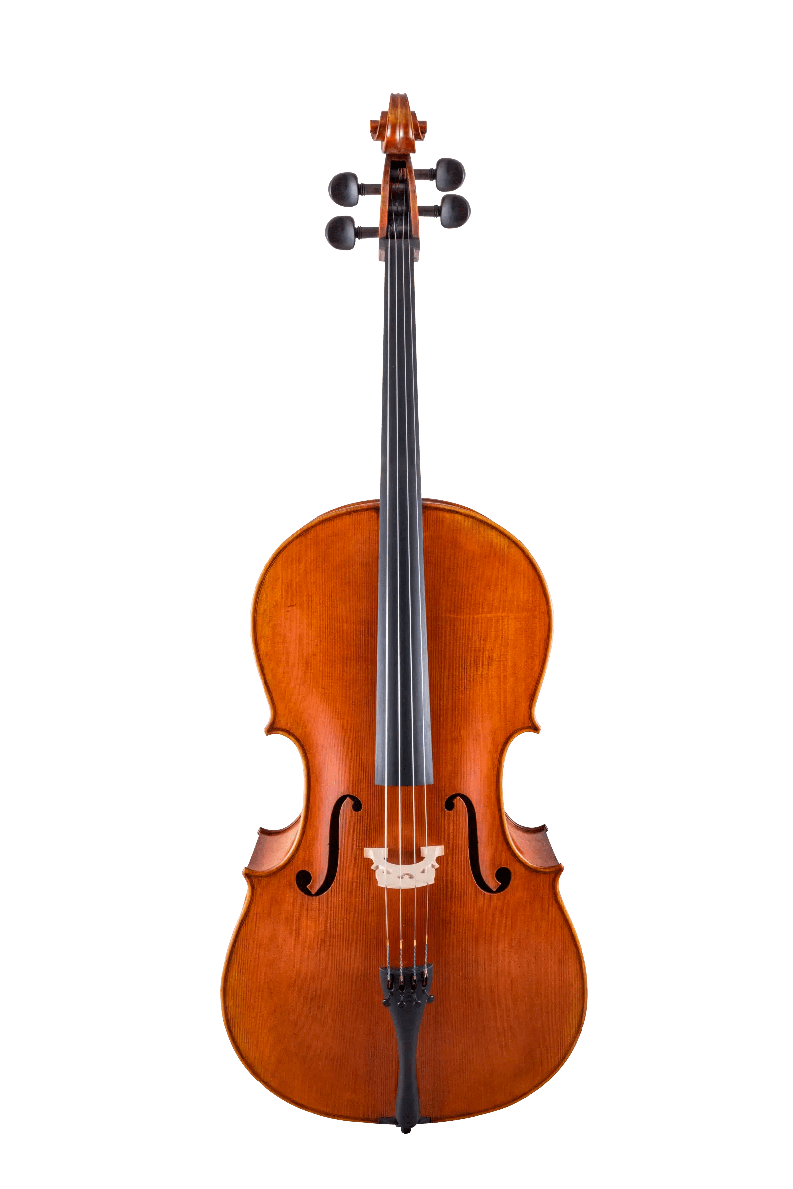 Scherl & Roth Cello SR75 Carved
