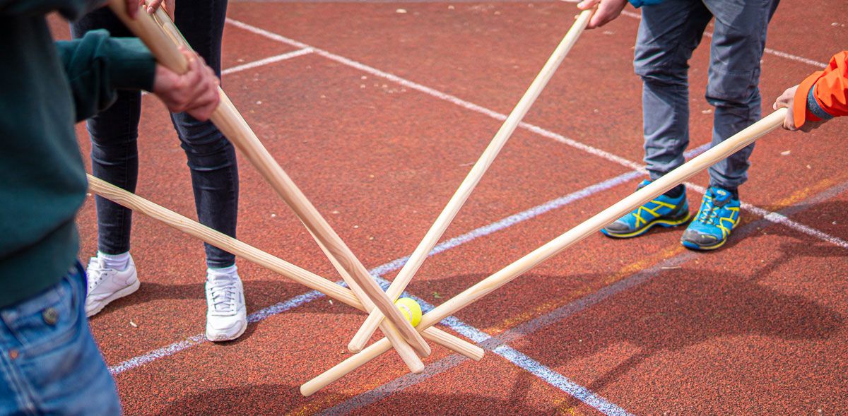 BallTransport GroupSenz Connect