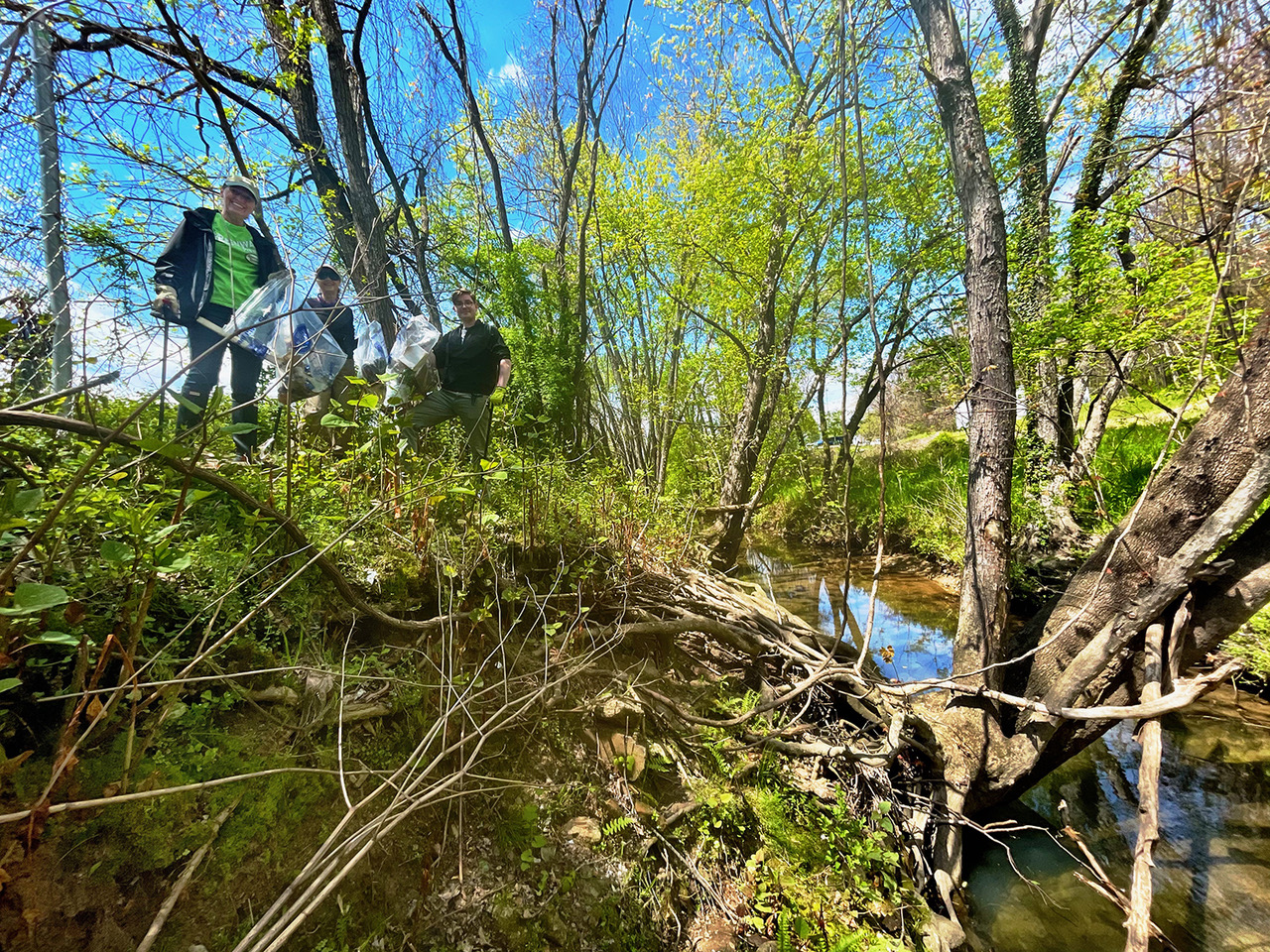 Cleanup on the Swannanoa River near Azalea Park County