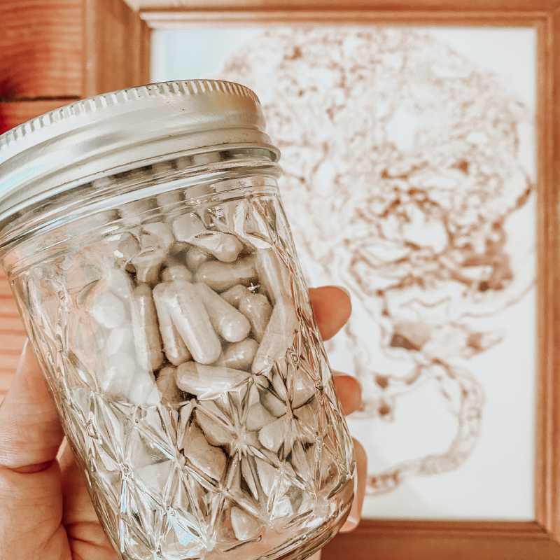 All About Placenta Encapsulation Process & Benefits