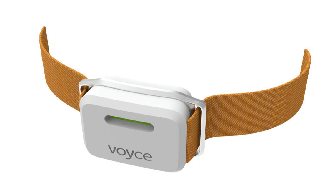 Voyce From One Health Group Wins “Overall Healthcare Product Of The