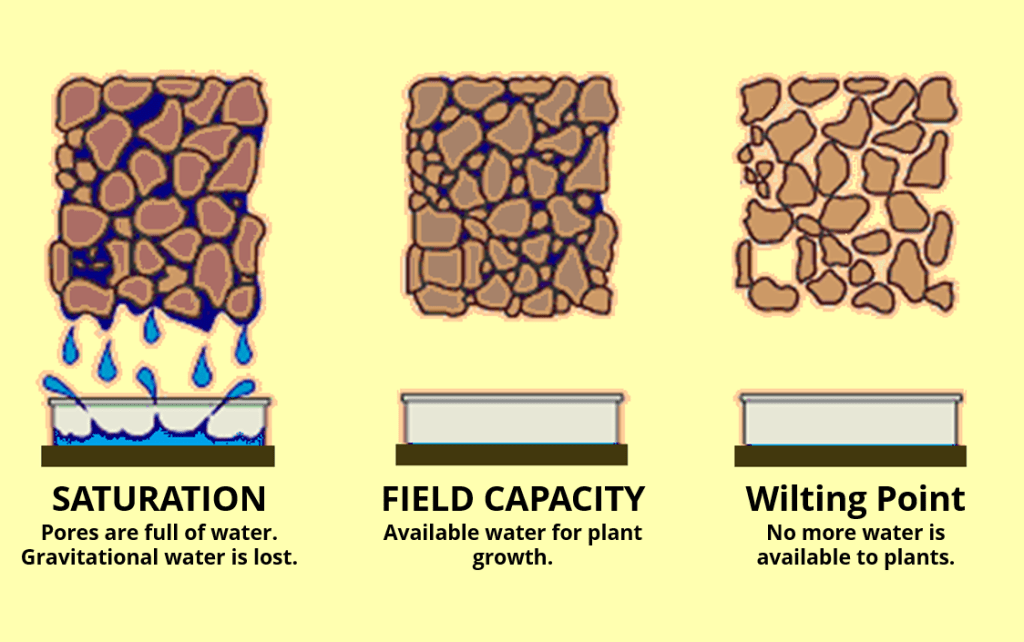 The Ultimate Guide to Soil Moisture - ConnectedCrops