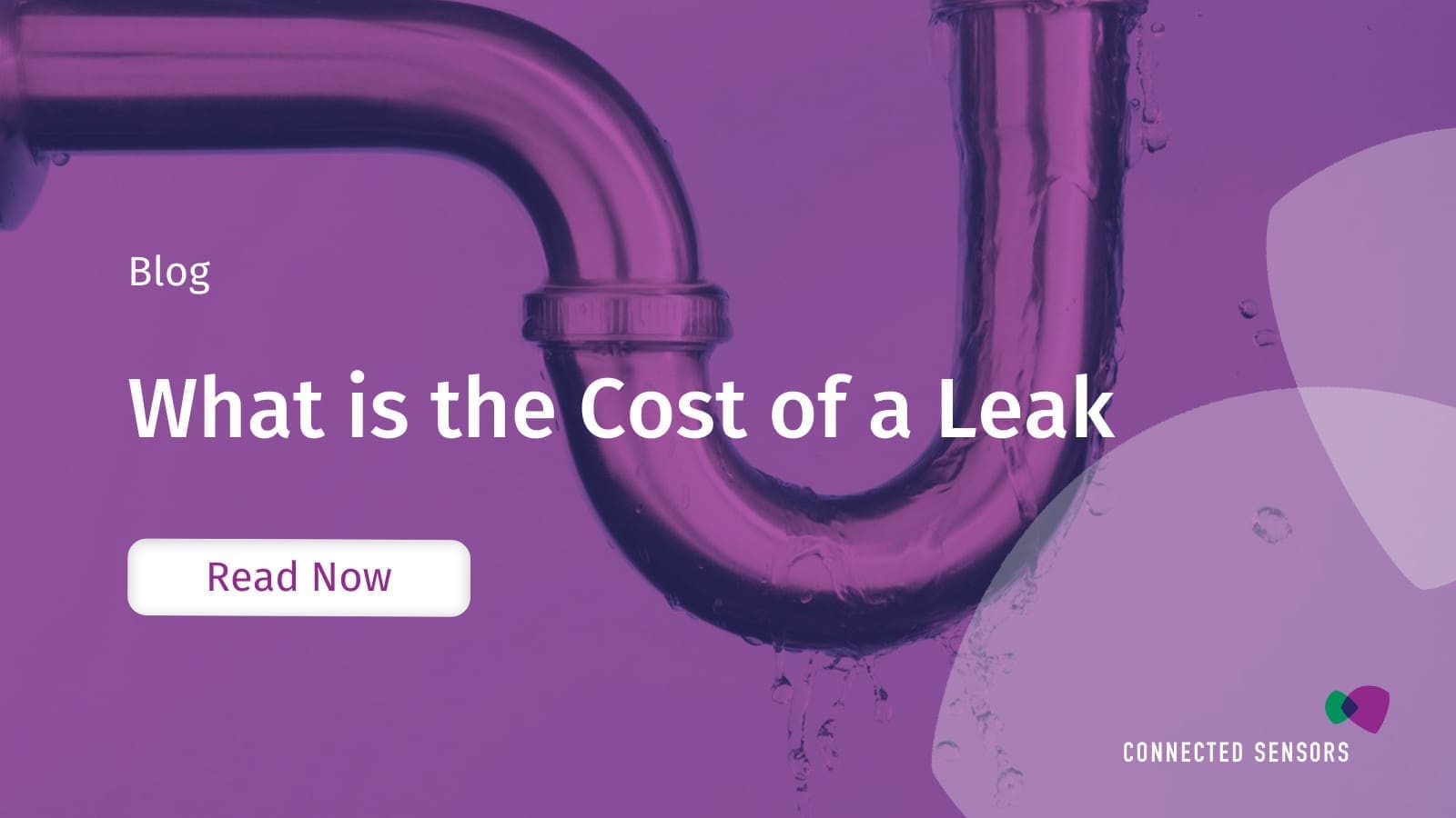 How Much Does a Water Leak Cost?