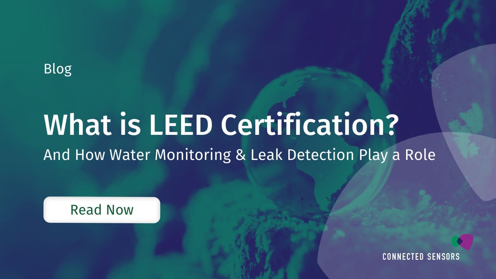 What is LEED Certification? A Complete Guide