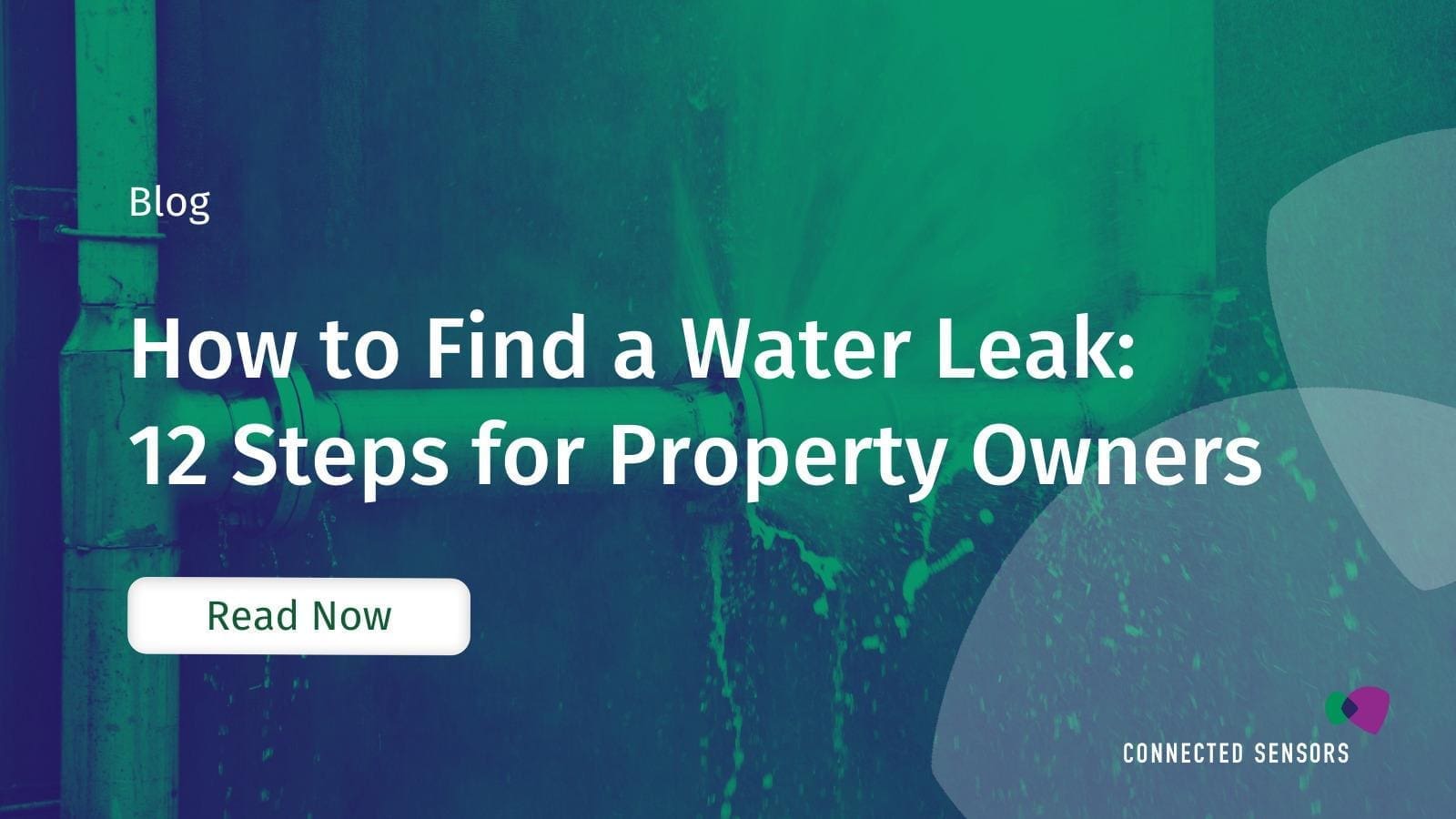 How to Find a Water Leak 12 Steps for Property Owners